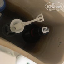 фото из отзыва ID 1598604