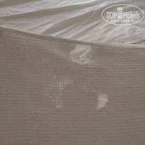 фото из отзыва ID 1598645