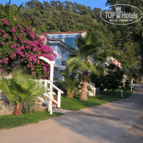 фото из отзыва ID 1598656