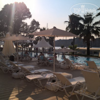 фото из отзыва ID 1598656