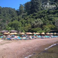 фото из отзыва ID 1598656