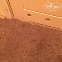 фото из отзыва ID 1598679