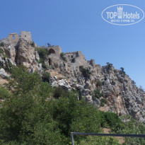 фото из отзыва ID 1598880