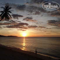 фото из отзыва ID 1599248