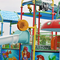 фото из отзыва ID 1599272