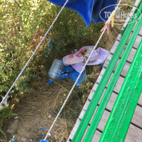 фото из отзыва ID 1599306