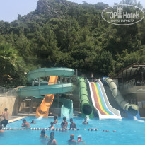 фото из отзыва ID 1599319