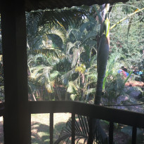 фото из отзыва ID 1599581