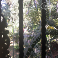 фото из отзыва ID 1599581