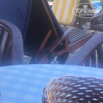 фото из отзыва ID 1599793