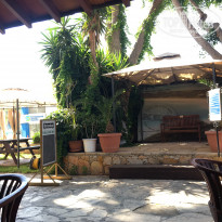 фото из отзыва ID 1599793