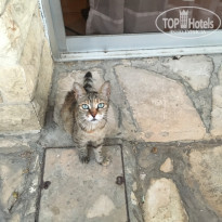 фото из отзыва ID 1599793