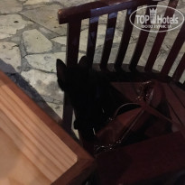 фото из отзыва ID 1599793