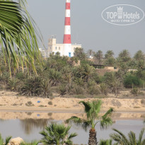 фото из отзыва ID 1599838