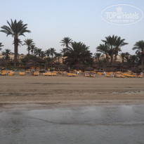 фото из отзыва ID 1599901