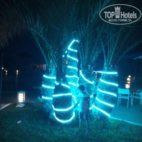 фото из отзыва ID 1599949