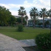 фото из отзыва ID 1597808