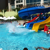 фото из отзыва ID 1595239