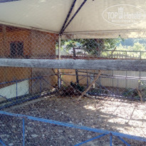 фото из отзыва ID 1598655