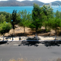 фото из отзыва ID 1598391