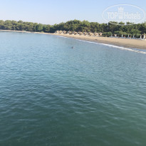 фото из отзыва ID 1590628