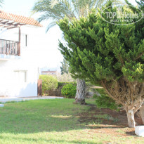 фото из отзыва ID 1595971