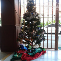 фото из отзыва ID 1595091