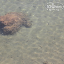 фото из отзыва ID 160018