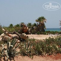 фото из отзыва ID 160167