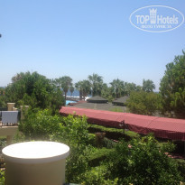 фото из отзыва ID 1600068