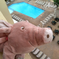 фото из отзыва ID 1600100