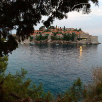 фото из отзыва ID 1600104