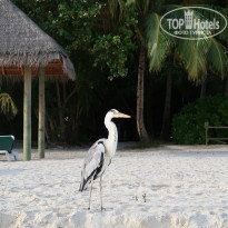 фото из отзыва ID 1600166