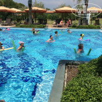 фото из отзыва ID 1600399