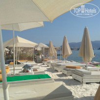 фото из отзыва ID 1600580