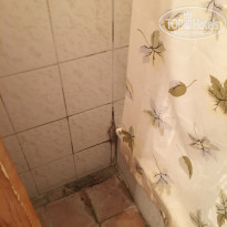 фото из отзыва ID 1600724