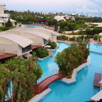 фото из отзыва ID 1600745