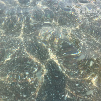 фото из отзыва ID 1600826