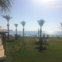 фото из отзыва ID 1600980