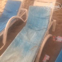 фото из отзыва ID 1601034