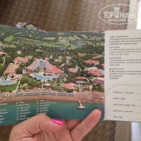 фото из отзыва ID 1601175