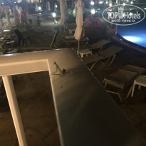 фото из отзыва ID 1601325