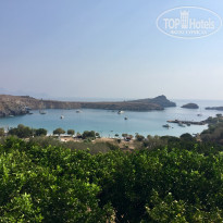 фото из отзыва ID 1601380