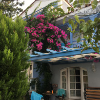 фото из отзыва ID 1601388