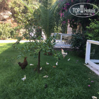 фото из отзыва ID 1601388