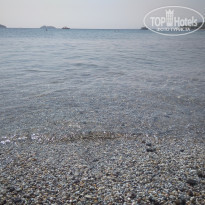 фото из отзыва ID 1601523