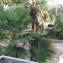 фото из отзыва ID 1601539