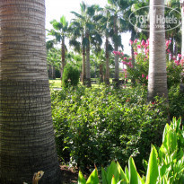 фото из отзыва ID 1601884