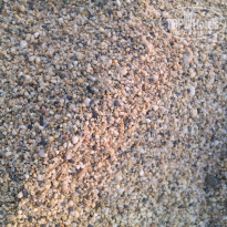 фото из отзыва ID 1601626