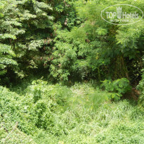 фото из отзыва ID 1602021